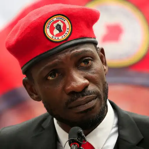 Play Biography of Bobi Wine APK
