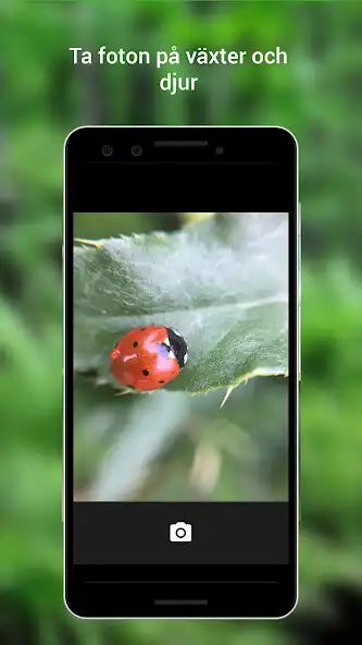 Play Biologg - naturen som ett spel and enjoy Biologg - naturen som ett spel with UptoPlay Play Biologg - naturen som ett spel and enjoy Biologg - naturen som ett spel with UptoPlay