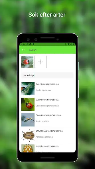 Play Biologg - naturen som ett spel as an online game online Biologg - naturen som ett spel with UptoPlay Play Biologg - naturen som ett spel as an online game Biologg - naturen som ett spel with UptoPlay
