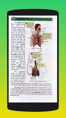 Play Biology 11