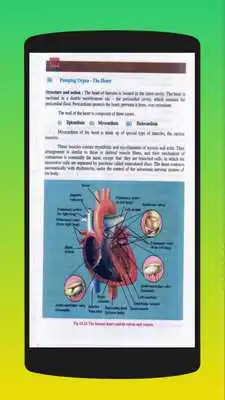 Play Biology 11