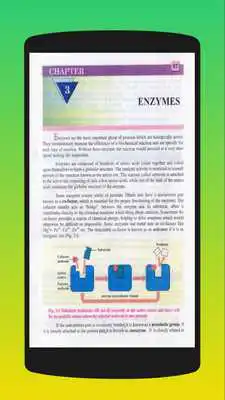 Play Biology 11