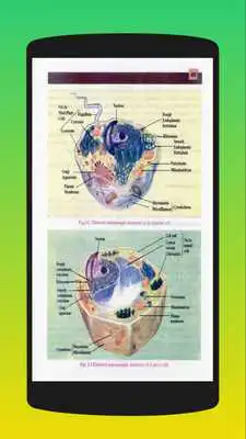 Play Biology 11