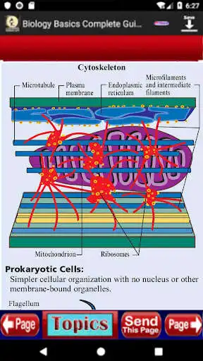 Play Biology Basic Study Notes as an online game Biology Basic Study Notes with UptoPlay