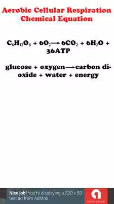 Play Biology Equations  Formulas