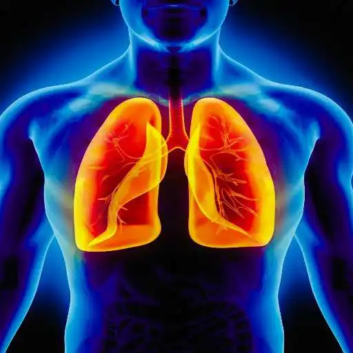 Play BIOLOGY E THEORIES APK Play BIOLOGY E THEORIES APK