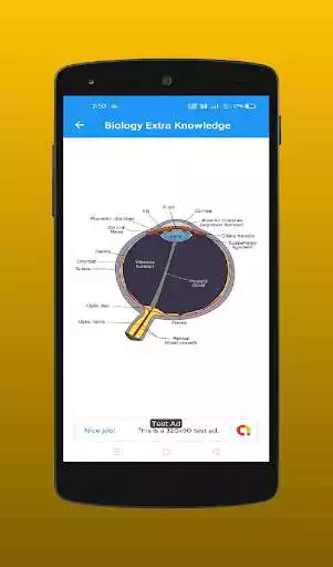 Play Biology Extra Knowledge as an online game Biology Extra Knowledge with UptoPlay