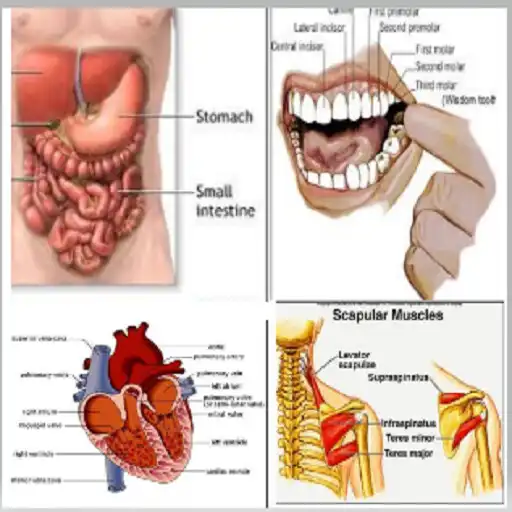 Play Biology Notes With Pictures APK