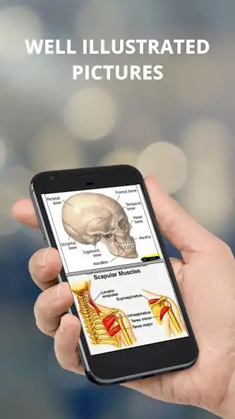 Play Biology Notes With Pictures as an online game Biology Notes With Pictures with UptoPlay