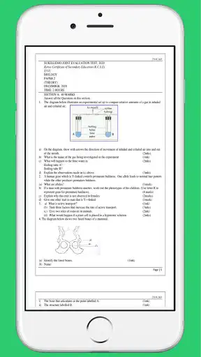 Play Biology paper three revision  and enjoy Biology paper three revision with UptoPlay