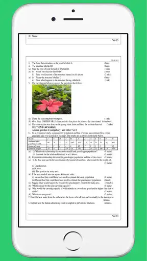 Play Biology paper three revision as an online game Biology paper three revision with UptoPlay