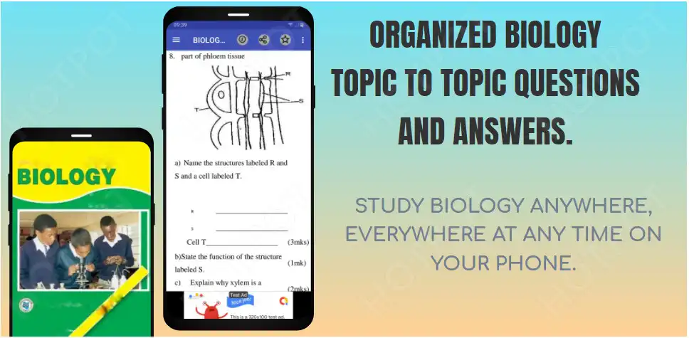 Play Biology: Topical Questions and  and enjoy Biology: Topical Questions and with UptoPlay