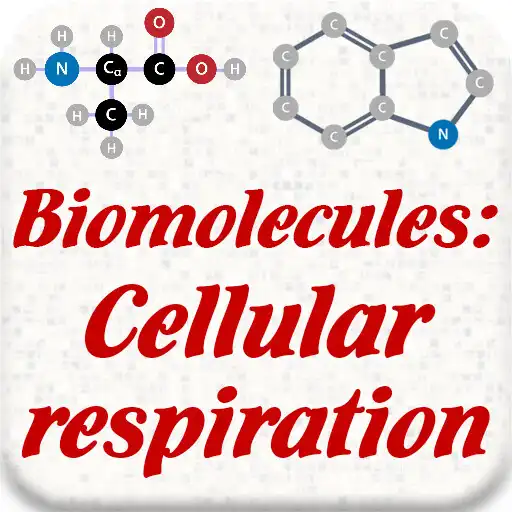 Play Biomolecules: Cell respiration APK Play Biomolecules: Cell respiration APK