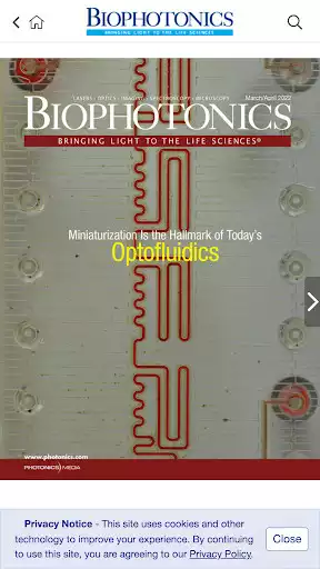 Play BioPhotonics as an online game BioPhotonics with UptoPlay