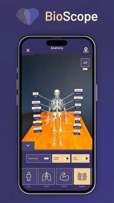 BioScope Anatomy 3DAR Model online game with UptoPlay