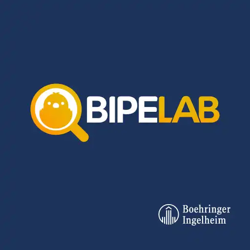 Play BIPE LAB APK