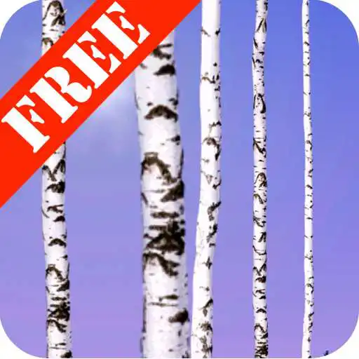 Play Birch Wood Free LWP APK