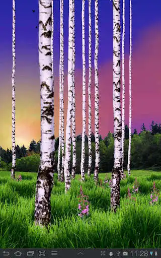 Play Birch Wood Free LWP as an online game Birch Wood Free LWP with UptoPlay