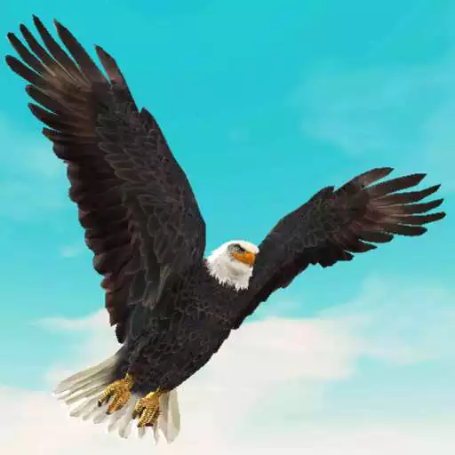 Play Bird Battle Simulator APK