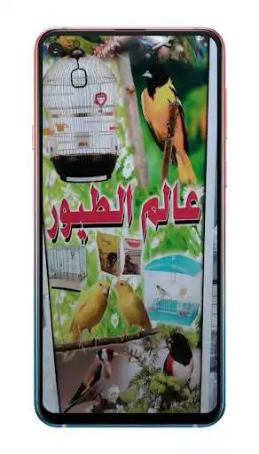 Play Bird breeding world 2022  and enjoy Bird breeding world 2022 with UptoPlay