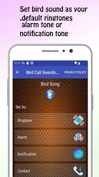 Play Bird Call Sounds and Ringtone as an online game Bird Call Sounds and Ringtone with UptoPlay