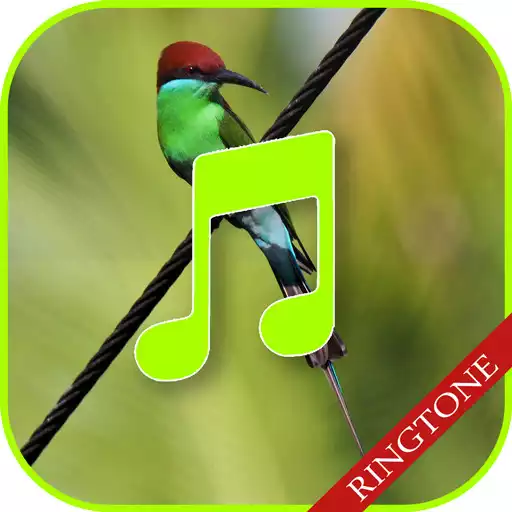 Free play online Bird Calls, Sounds  Ringtones APK