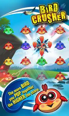 Play Bird Crusher