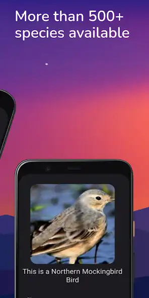 Play Bird Detector - IA Scan 2023 as an online game Bird Detector - IA Scan 2023 with UptoPlay