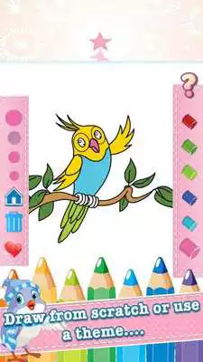 Play Bird Drawing Coloring Book