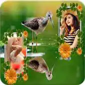 Free play online Bird Dual Photo Frames APK