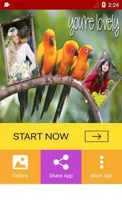 Play Bird Dual Photo Frames