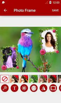 Play Bird Dual Photo Frames