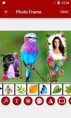 Play Bird Dual Photo Frames
