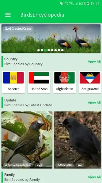 Play Bird Encyclopedia(Ornithology) as an online game Bird Encyclopedia(Ornithology) with UptoPlay
