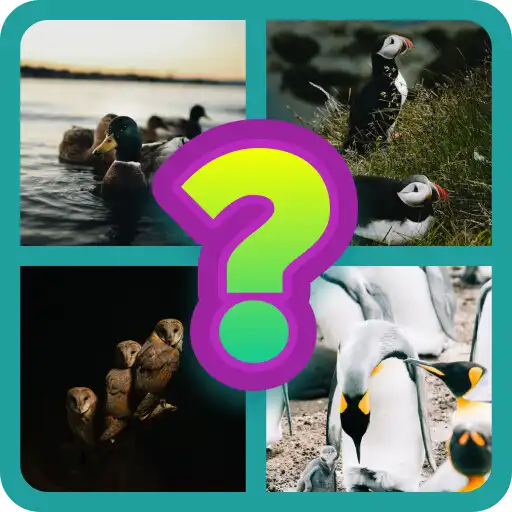 Play Bird Encyclopedia - Quiz game APK