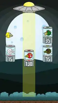 Play Bird Escape Free