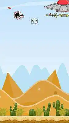 Play Bird Escape Free