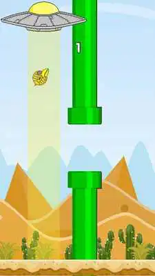 Play Bird Escape Free