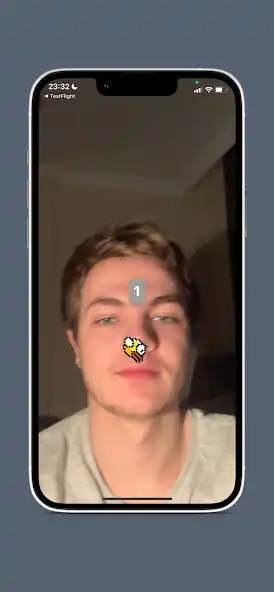 Play Bird Faced as an online game Bird Faced with UptoPlay
