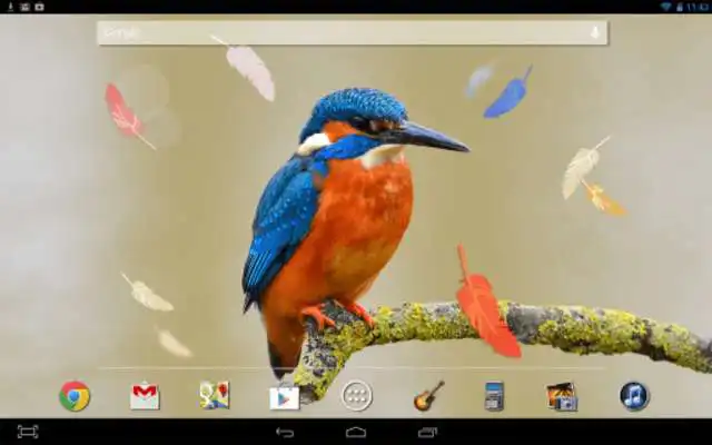 Play Bird Feathers LWP Play Bird Feathers LWP