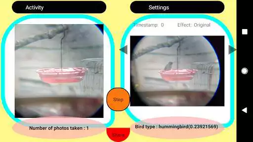 Play Birdfie: an intelligent selfie app for birds  and enjoy Birdfie: an intelligent selfie app for birds with UptoPlay