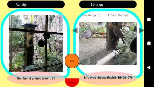 Play Birdfie: an intelligent selfie app for birds as an online game Birdfie: an intelligent selfie app for birds with UptoPlay