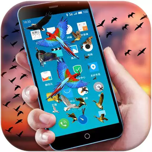 Free play online Bird Flying in Phone Prank  APK