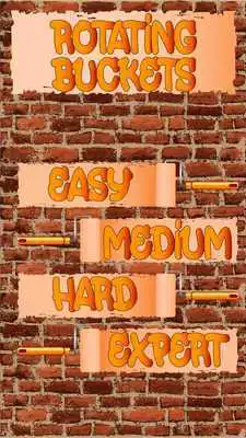 Play Bird Hanting Game