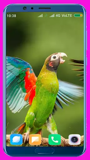 Play Bird HD Wallpaper as an online game Bird HD Wallpaper with UptoPlay