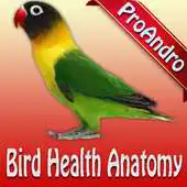 Free play online Bird Health Anatomy APK
