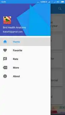 Play Bird Health Anatomy Play Bird Health Anatomy
