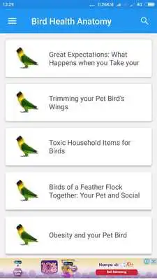 Play Bird Health Anatomy Play Bird Health Anatomy
