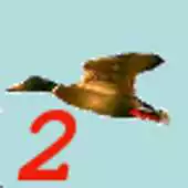 Free play online Birdhunt2 APK