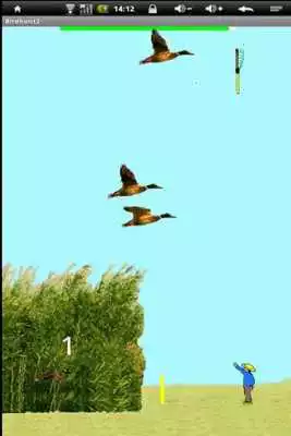 Play Birdhunt2